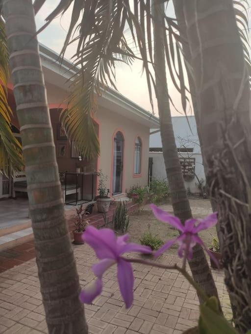 Ponto De Bonito Homestay
